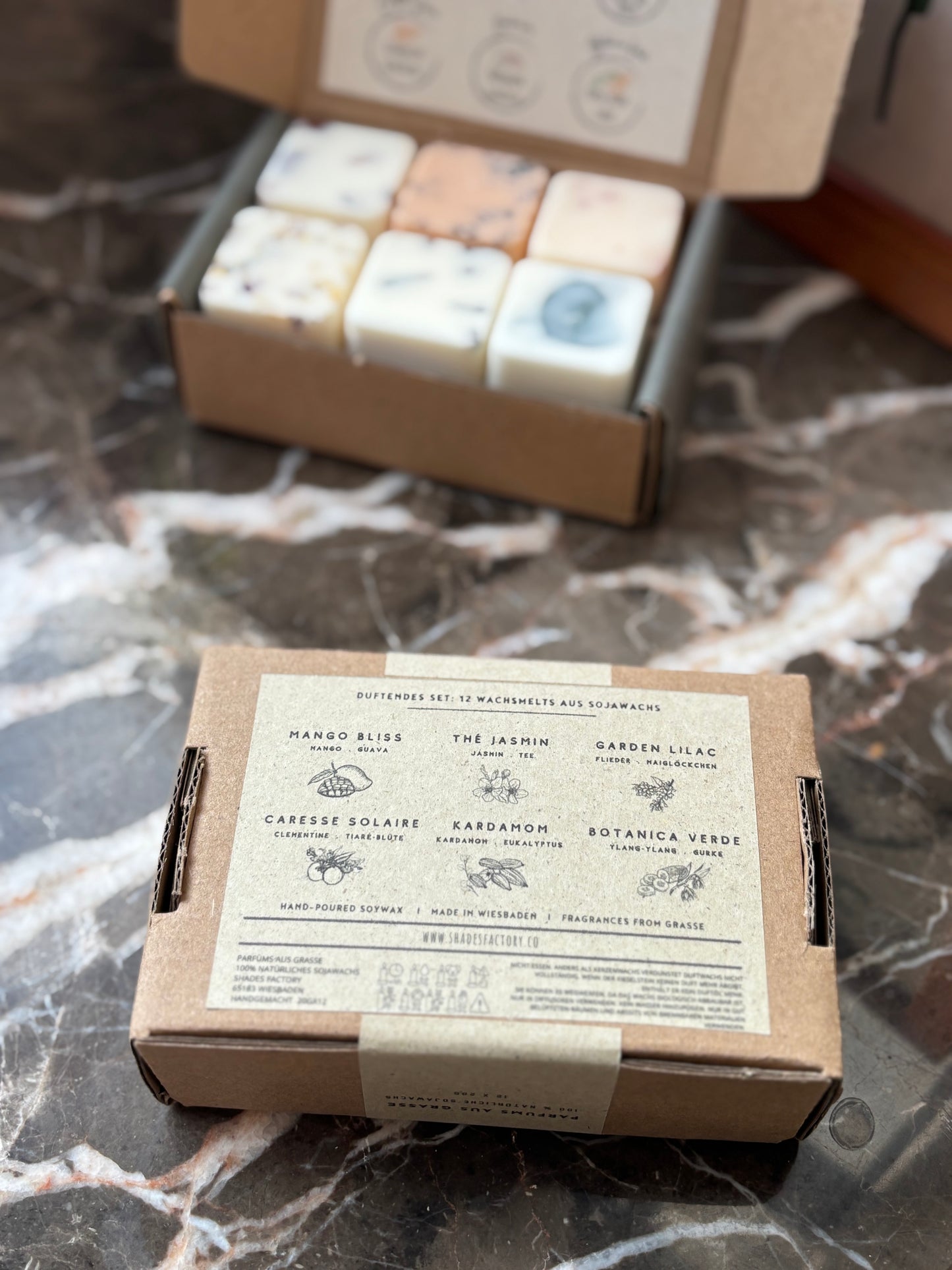 Wax Melts Box: Spring Edition I 12 Fragrant Melts in 6 Exquisite Varieties | Handcrafted with French fragrances