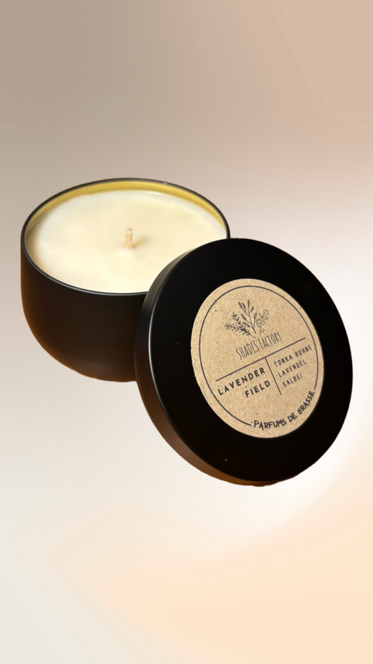 Lavender Field | I A Gateway into Fields of Blooming Lavender