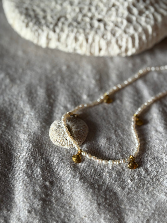 Collier de perles d'eau douce – Blanc naturel avec breloques coquillage dorées | Fermoir en argent sterling 925