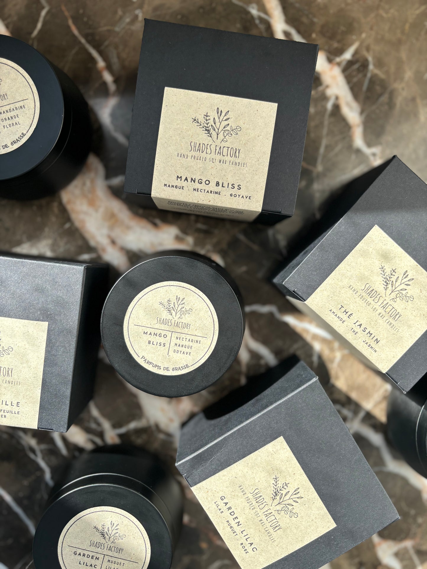 Mango Bliss I The Essence of a Tropical Retreat