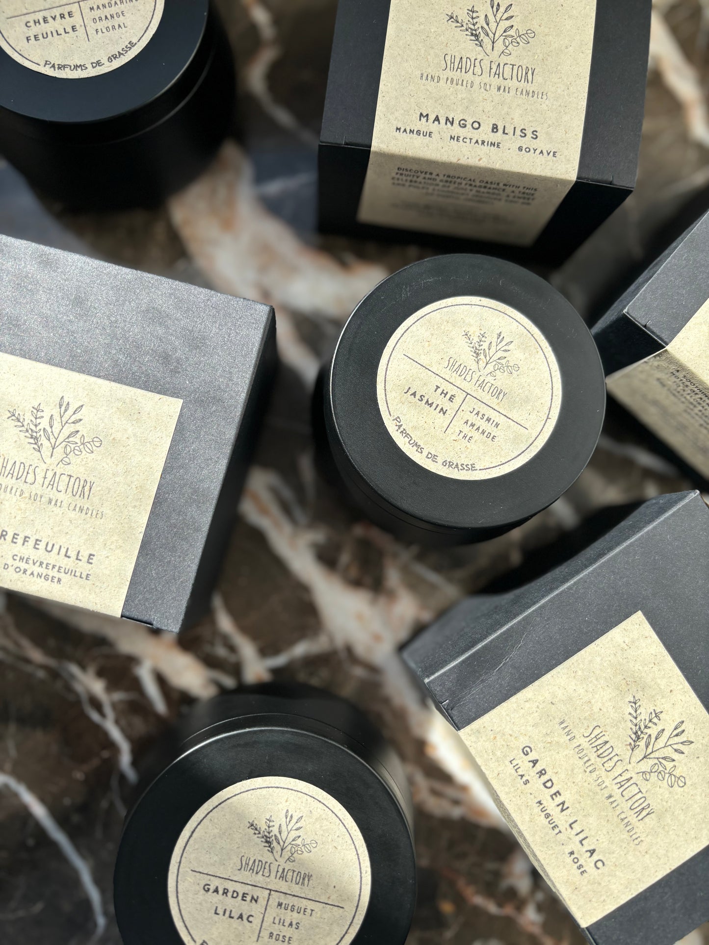 Garden Lilac | Inspired by the Essence of Spring Blossoms