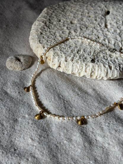Freshwater Pearl Necklace – Natural White with Gold Seashell Charms | Sterling Silver 925 Clasp