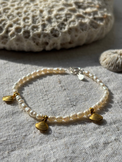 Freshwater Pearl Bracelet – Natural White with Gold Seashell Charms | Sterling Silver 925 Clasp