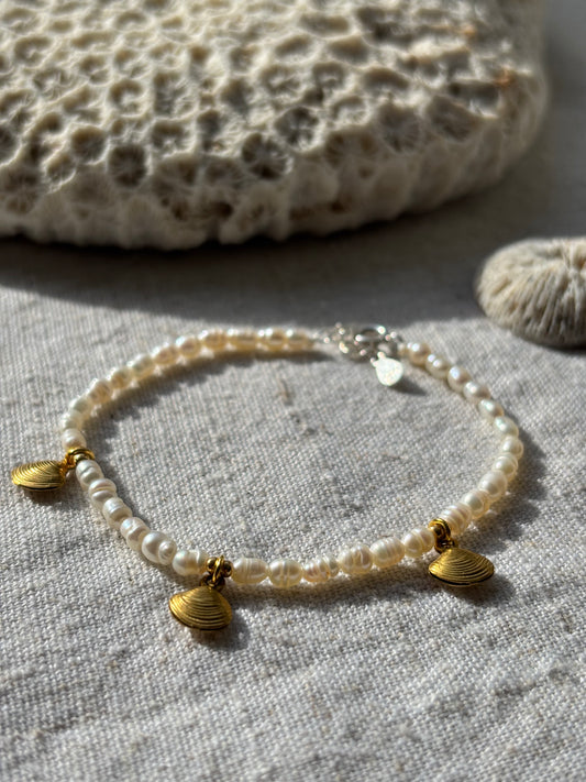 Freshwater Pearl Bracelet – Natural White with Gold Seashell Charms | Sterling Silver 925 Clasp