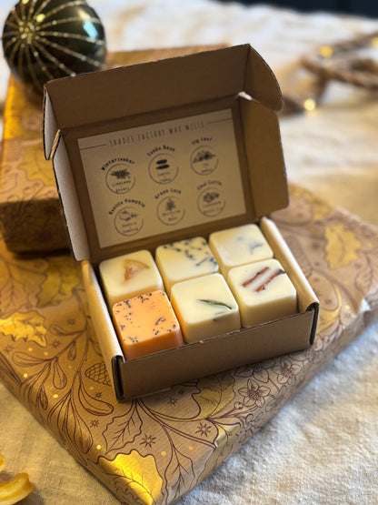 Wax Melts Box: Winter Edition I 12 Fragrant Melts in 6 Exquisite Varieties | Handcrafted with French fragrances