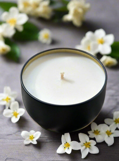 Thé Jasmin | A Floral Escape with Almond, Jasmine & Honey