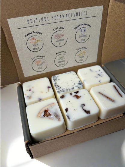 Wax Melts Box: Winter Edition I 12 Fragrant Melts in 6 Exquisite Varieties | Handcrafted with French fragrances