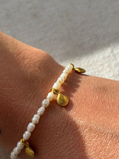 Freshwater Pearl Bracelet – Natural White with Gold Seashell Charms | Sterling Silver 925 Clasp