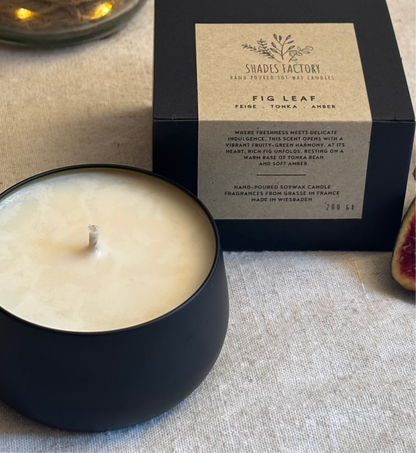 Bougie Feuille de Figuier | Un Murmure de Sérénité