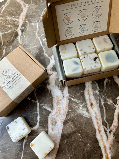 Wax Melts Box: Flower Bomb I 12 duftende Melts in 6 erlesenen Sorten | Handgefertigt mit Sojawachs