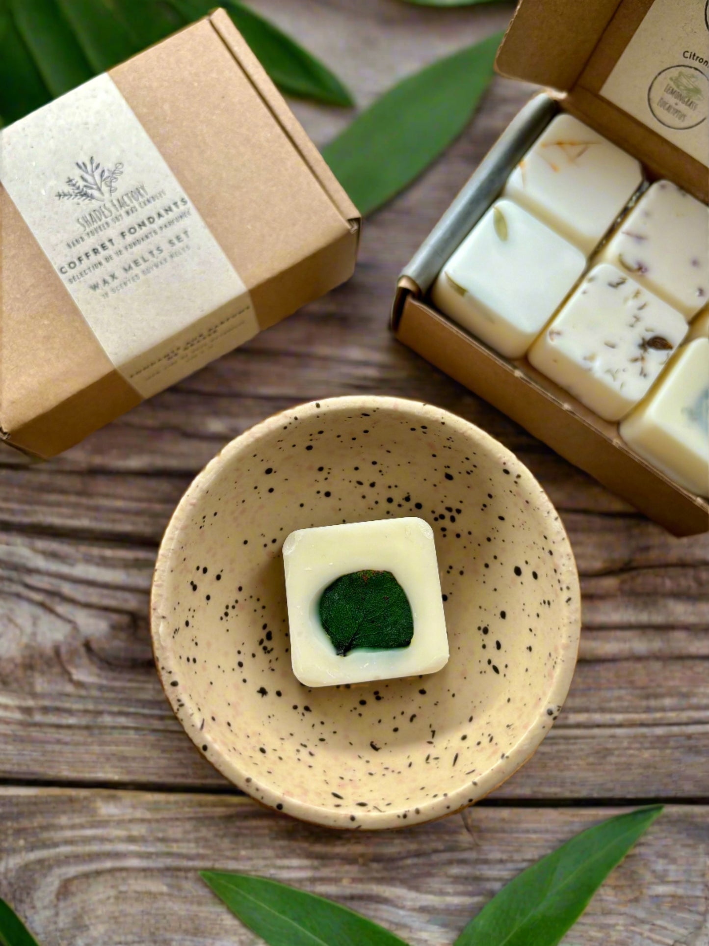 A box of Shades Factory scented wax melts, with the lid open displaying various melt blocks with green and red accents. A cup and a potted plant are visible in the background, suggesting a home decor setting.