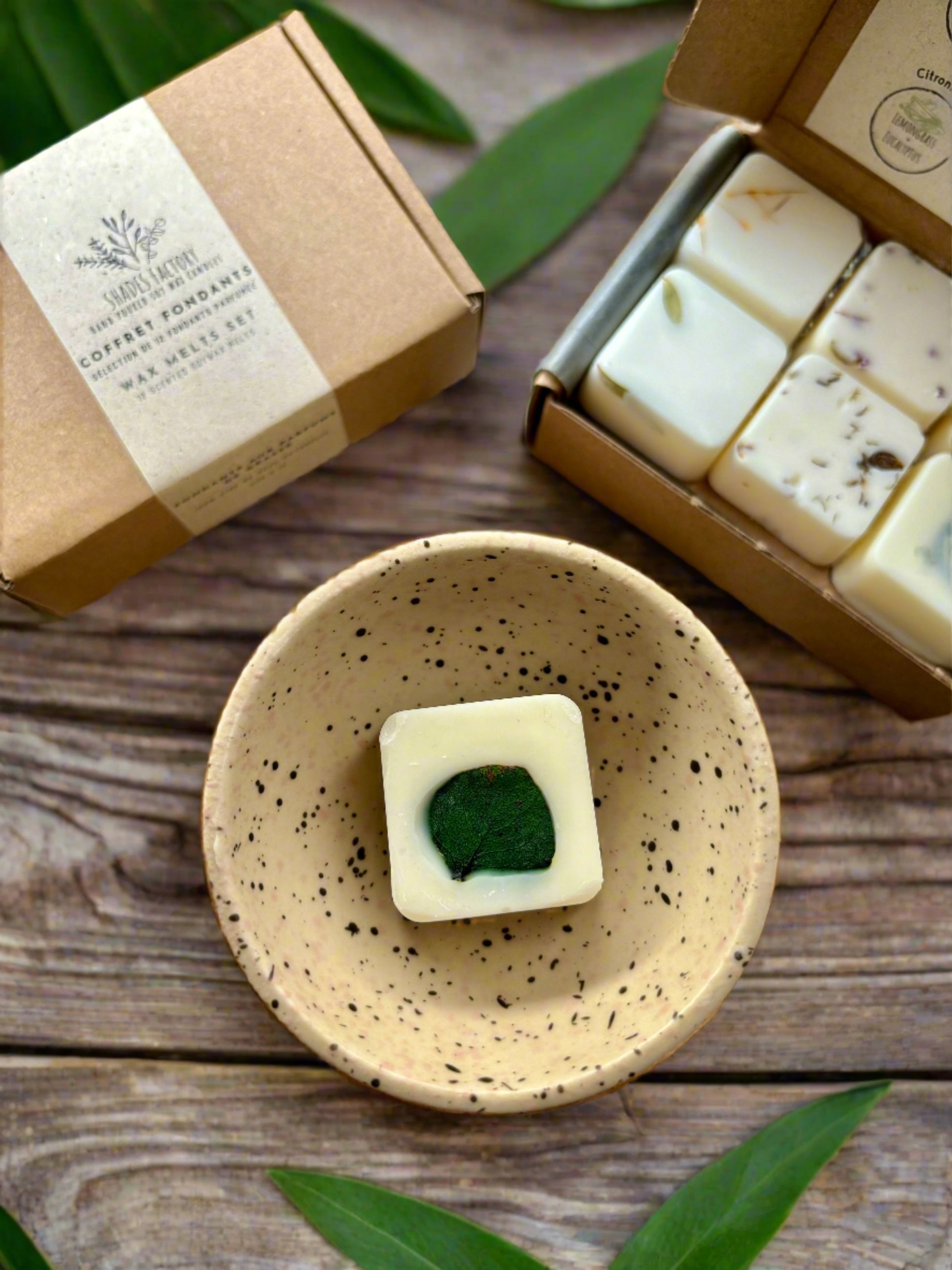 A box of Shades Factory scented wax melts, with the lid open displaying various melt blocks with green and red accents. A cup and a potted plant are visible in the background, suggesting a home decor setting.